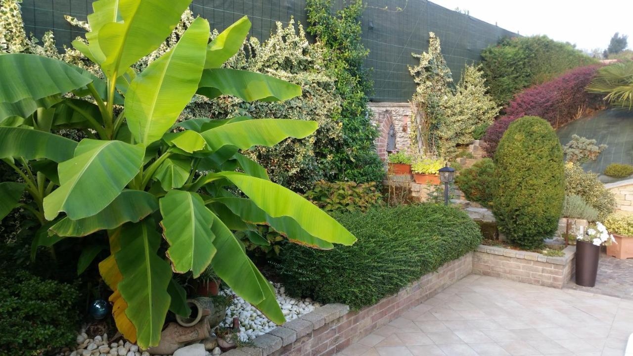 Villa Laura B&B Fossano Ngoại thất bức ảnh
